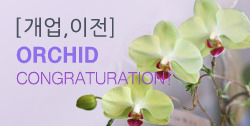 뵵 īװ #4