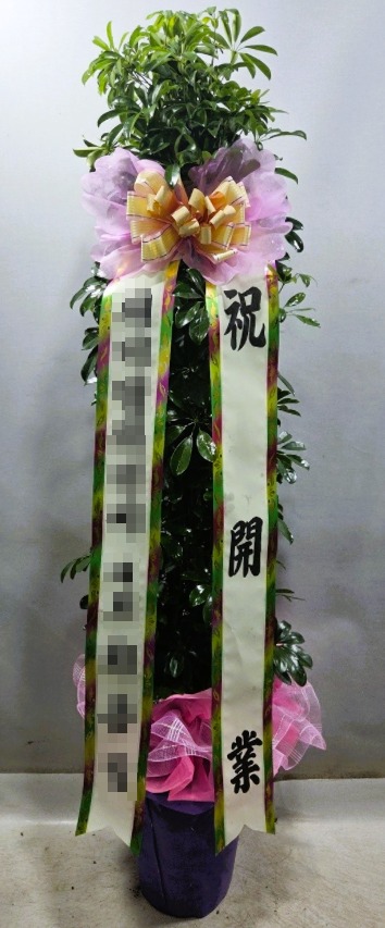 ȫ