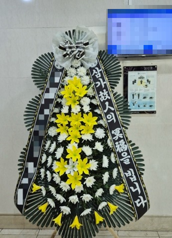 ����3��ȭȯ