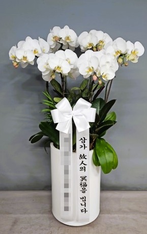 ��ȣ����