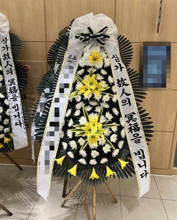 ����3��ȭȯ