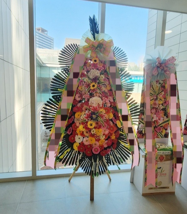 ����3��ȭȯ